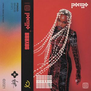 Pongo - Bruxos