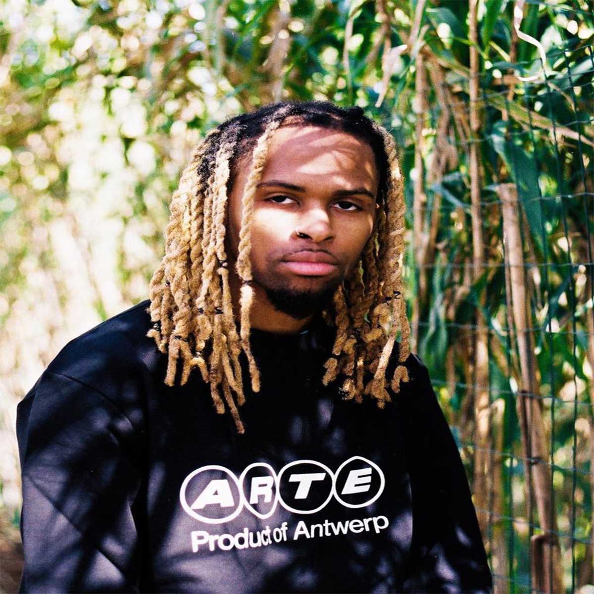 Toy Toy T-Rex - Volta