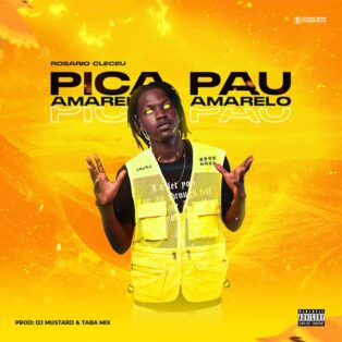 Rosário Clečeu - Pica Pau Amarelo (Prod. Dj Mustard & Dj Taba Mix)