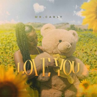 Mr. Carly - Love You