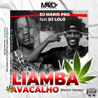 Dj Mário Pro - Liamba Avacalho “Remix Versão” (feat. Dj Lolo)