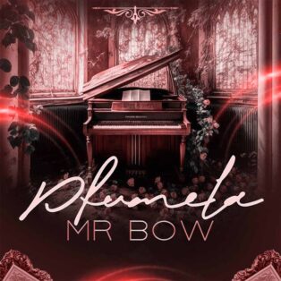 Mr Bow - Pfumela